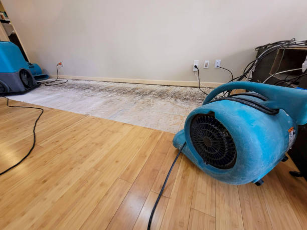 Professional Sewage Cleanup technician working in Norristown, PA
